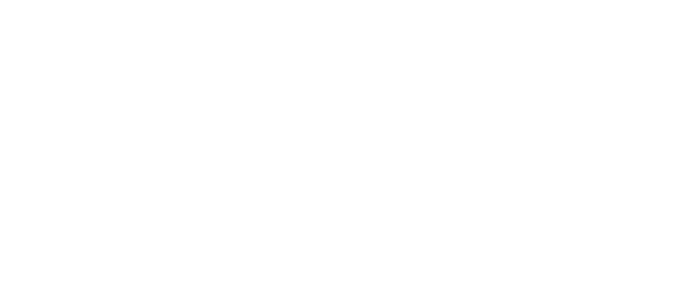 BOKI MOTORS